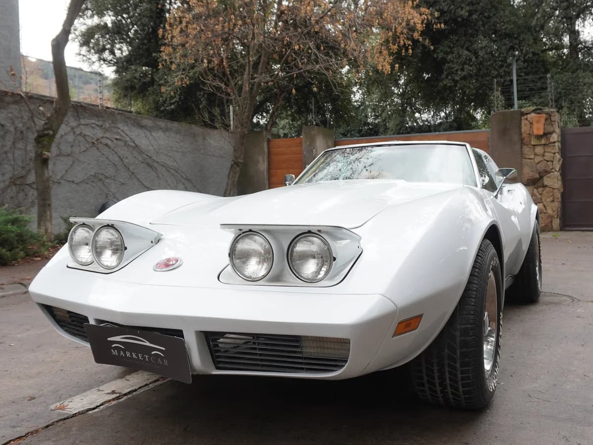 Chevrolet Corvette Stingray C3 V8 5.7 Año 1974 - Imagen 22